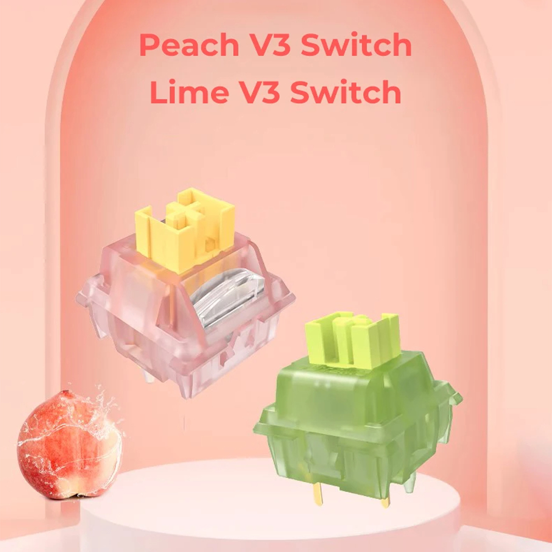 Silent Switch Mechanical Keyboard - Outemu Silent Tactile/Linear Switch Lichtleiter Factory