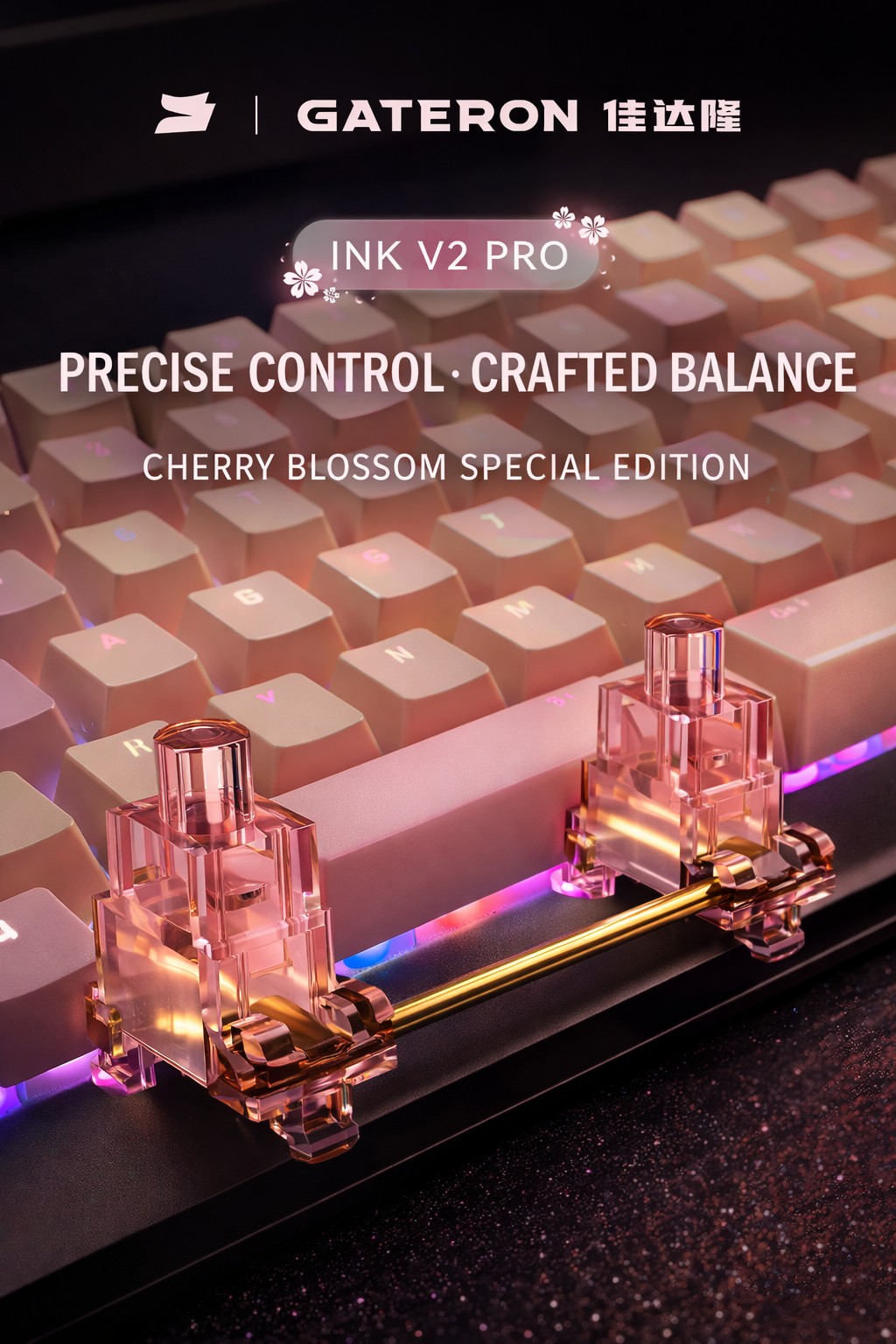 Gateron INK V2 Pro Schraubstab – Keyboard Stabilizer Screw In Bewertung und Preis